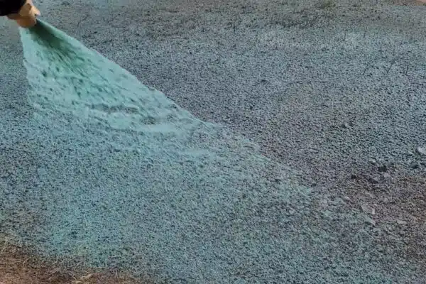 Hydroseeding Techniques